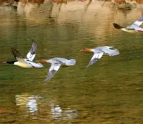 包含	Q*2駲5:溾E潔?Zg,唨?($Kb??8?琡i(H€l濉褹柜梺T假M/??嚡穹H1~弻的词条-3377官方网站